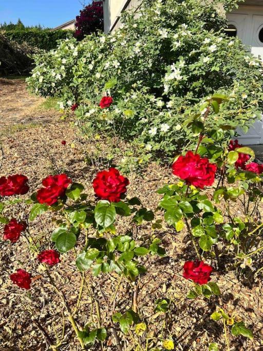 Gite De La Petite Fourmy Saint-Sulpice-les-Feuilles Buitenkant foto